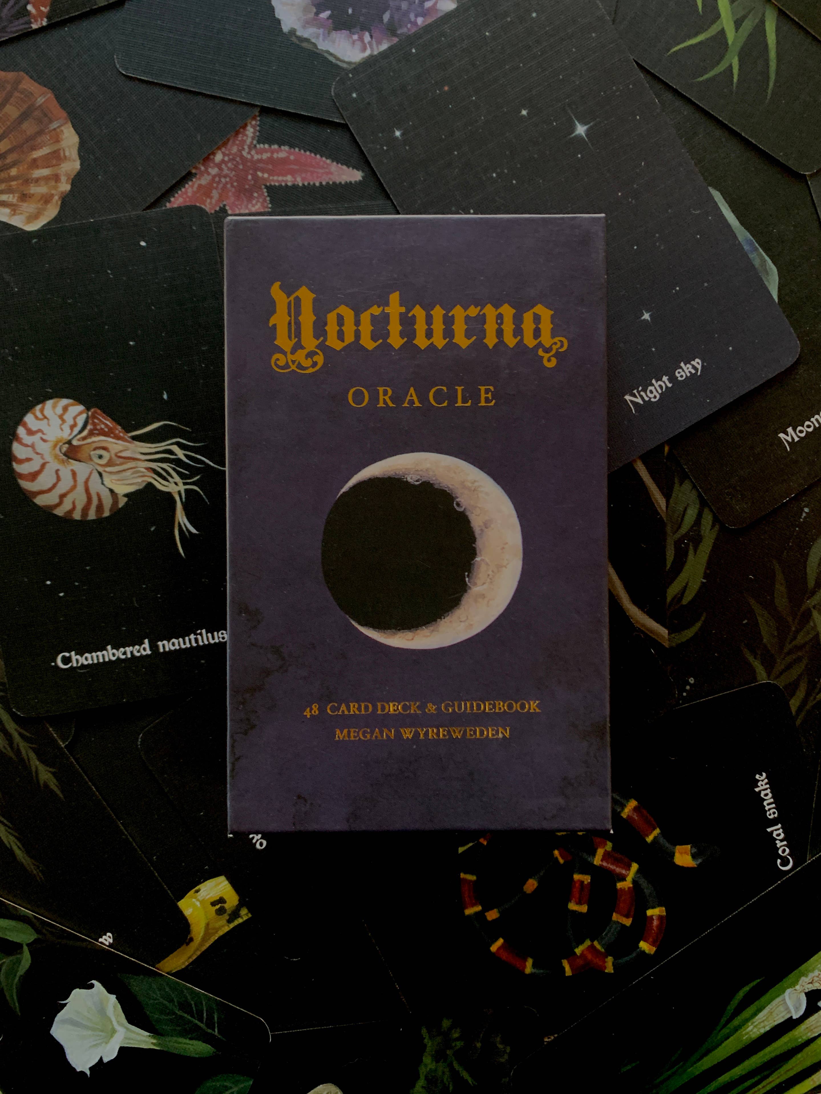 Nocturna Oracle Deck - Image 2